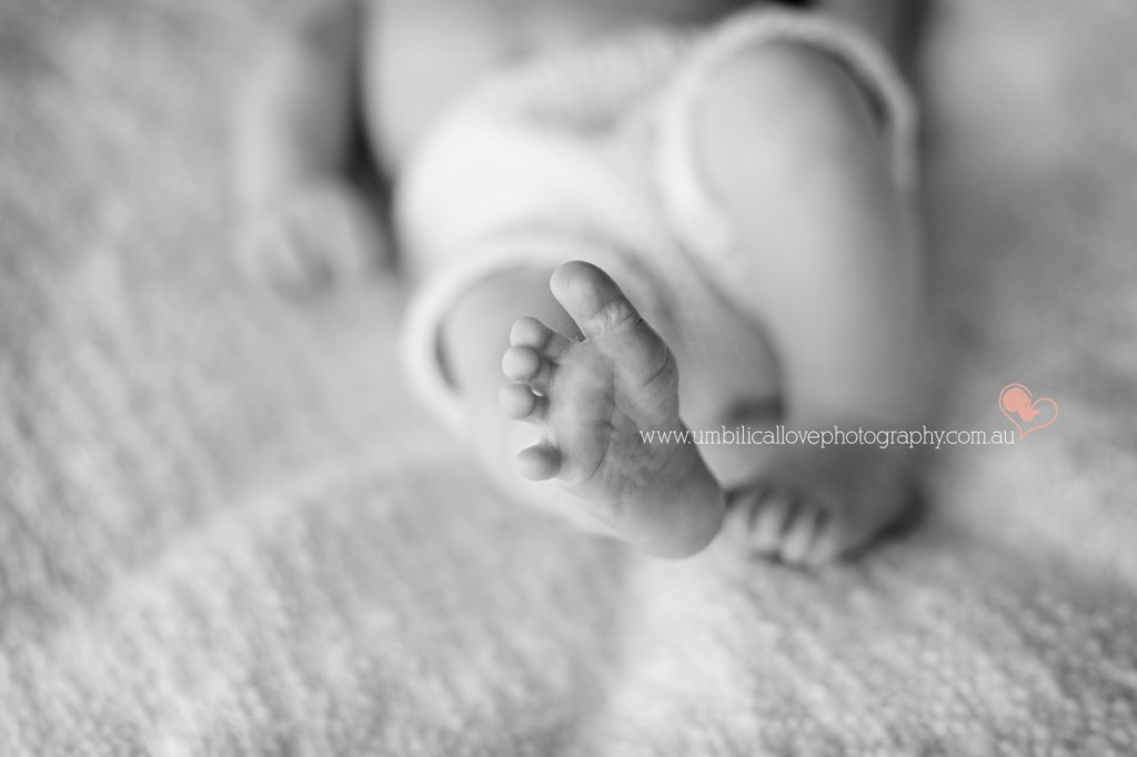 close up of perfect newborn baby toes