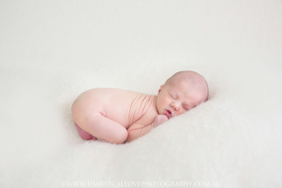 Wagga-Wagga-Photography-Newborn-Baby baby lying on her belly in the fetal position