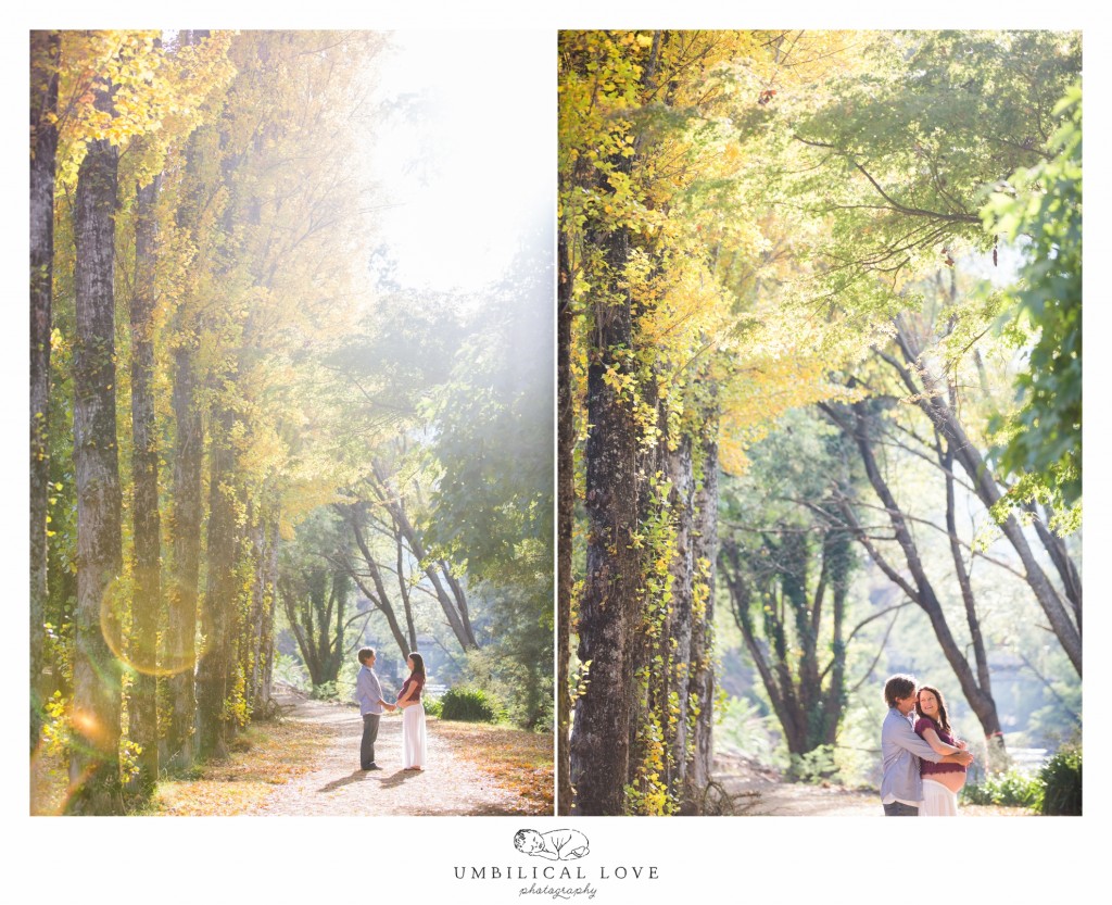 Stunning scenery of trees and sun while couple spends time together on the path