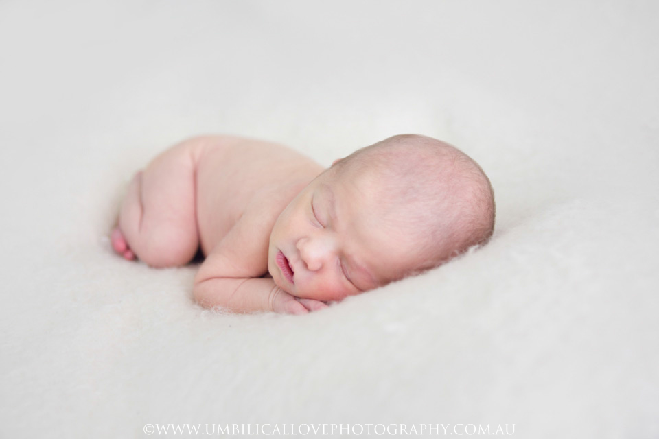 Newborn-Baby-Photography-Wagga-Wagga newborn baby girl curled up on her belly sleeping on her hands