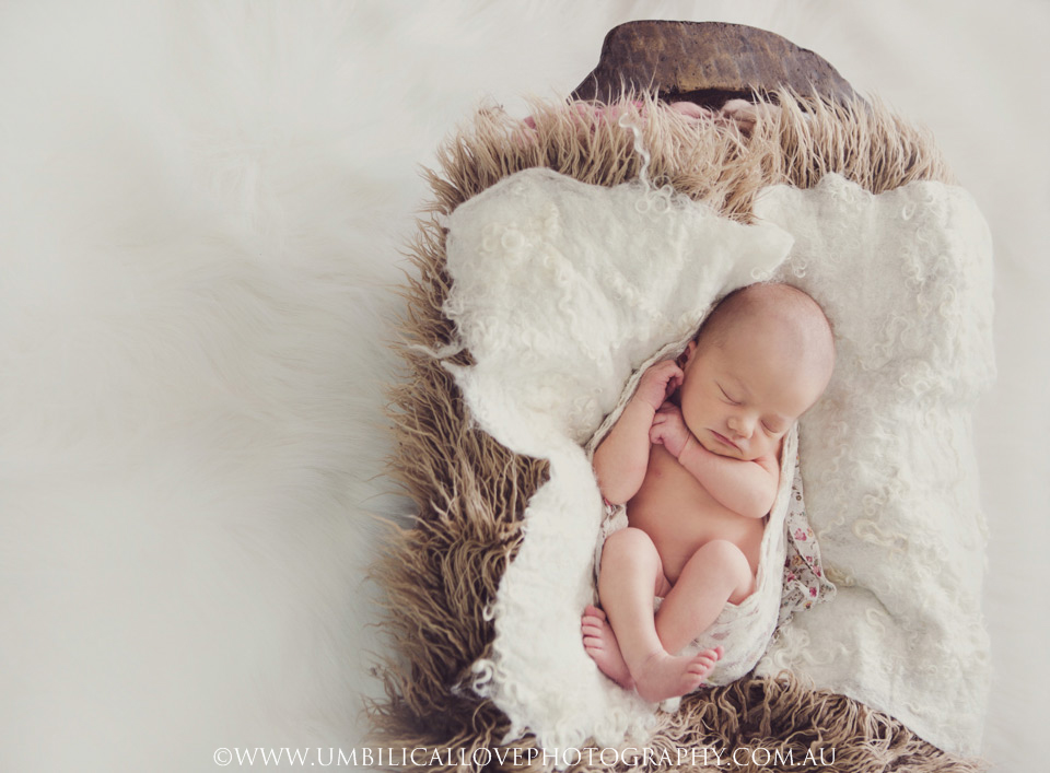 Wagga-Wagga-Photography-Newborn-Baby baby in a blanket lined wooden tub