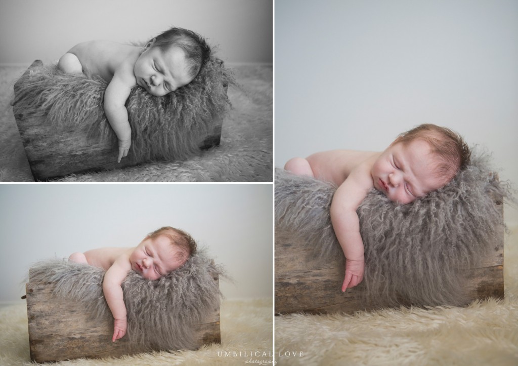 014 newborn baby photographer wangaratta