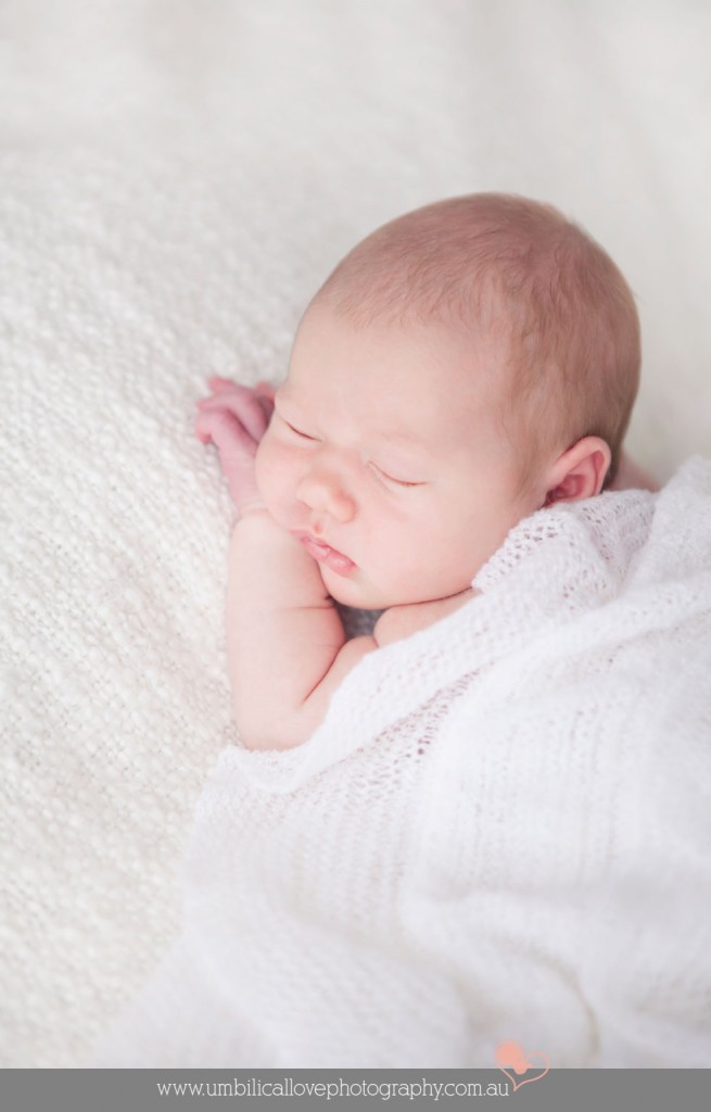 Sunshine Coast & Brisbane Newborn Photography baby sleeping all wrapped up