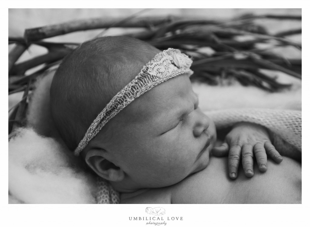 newborn baby in a nest with her tiny hands sitting on her chest