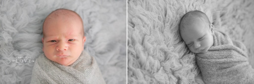 newborn open eyes looking at the camera