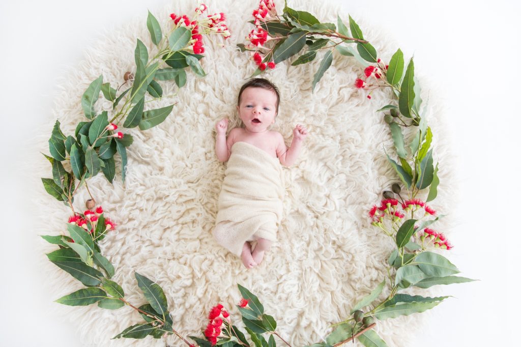 Newborn girl surrounded by gum leaves