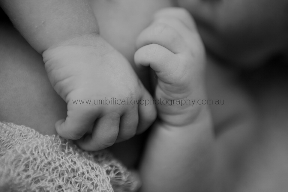 tiny fingers of a newborn baby