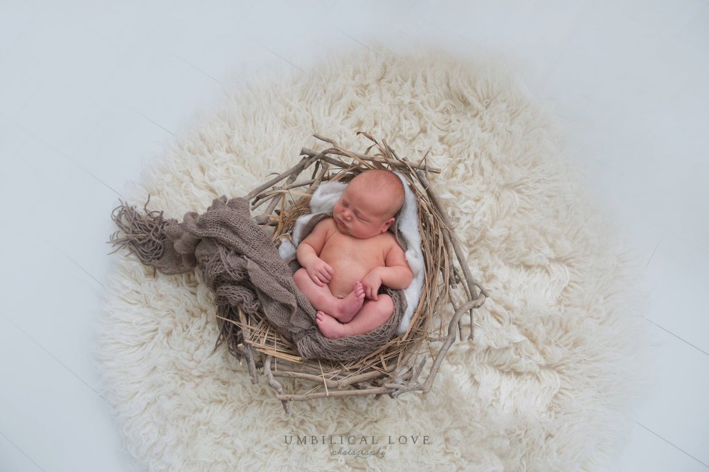 newborn baby curled up in a blanket in a nest like in the womb