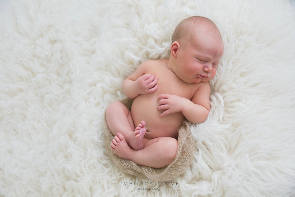 new baby all snuggled up in womb like pose