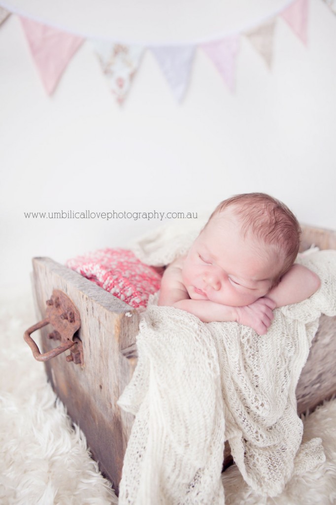 Baby-and-Newborn-Photographer-Sunshine-Coast baby laying in box leaning over