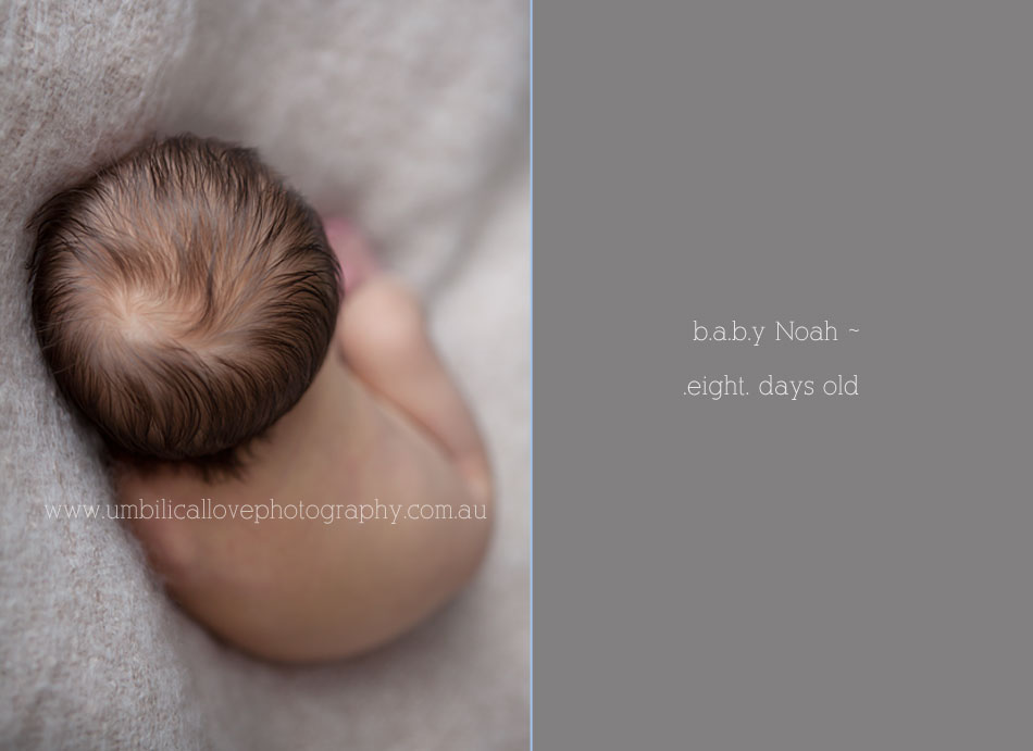 8 day old newborn with a head full of hair