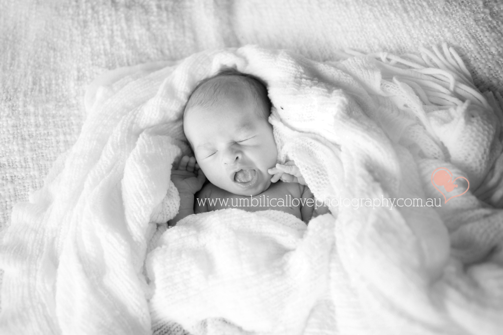 photos of a newborn sunshine coast swaddled baby yawning
