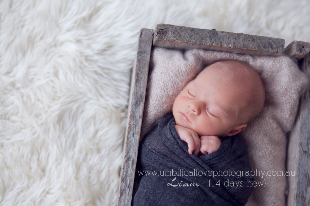 Natural Baby Photos Albury/Wodonga newborn baby wrapped up asleep in a box