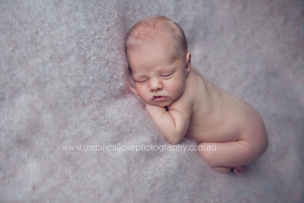 newborn photography Wodonga newborn baby sleeping on his hands on a lush blanket