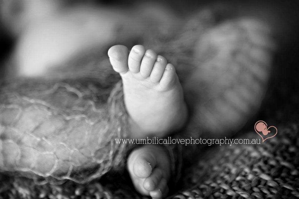 tiny toes baby photos sunshine coast a month old baby spreading her tiny toes