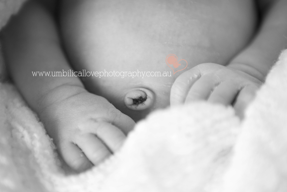 baby photographer baby hands and new belly button