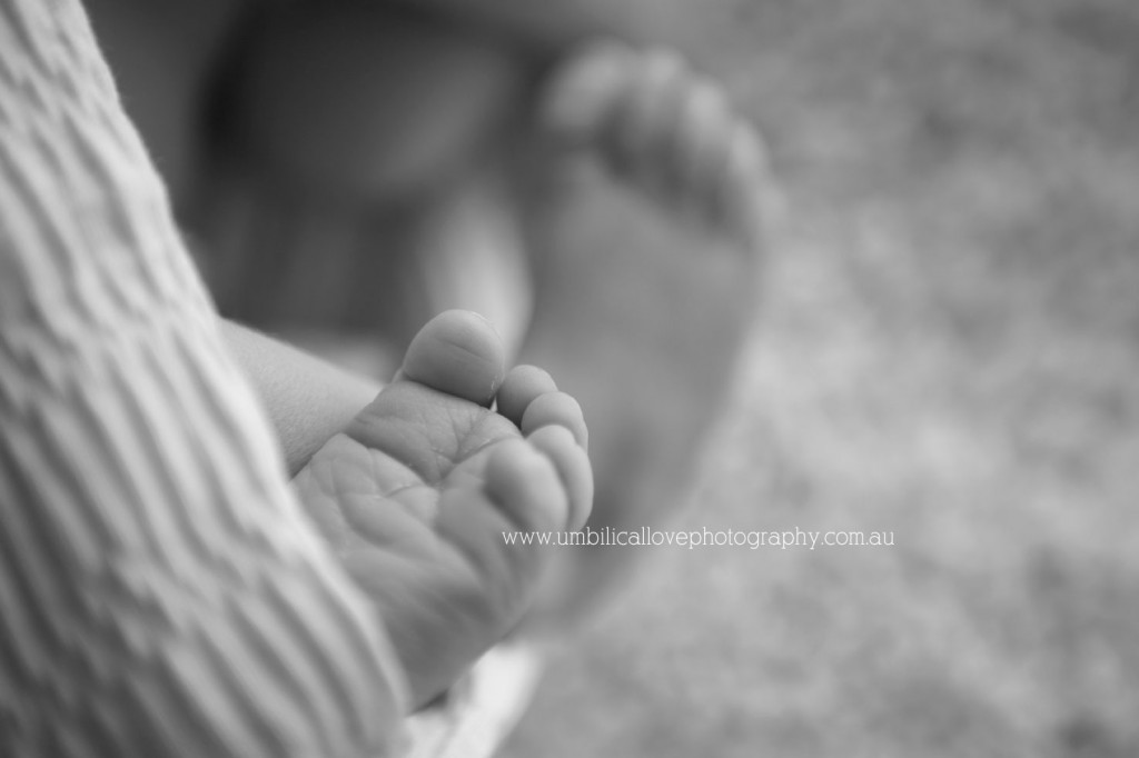 newborn-babies-toes-sunshine-coast-photographer tiny newborn baby feet