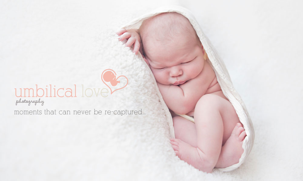 Professional Newborn Custom Baby Photographer Albury/ Wodonga newborn baby wrapped up