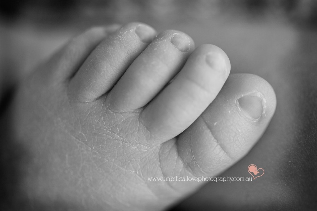 tiny toes macro shot of a newborn baby