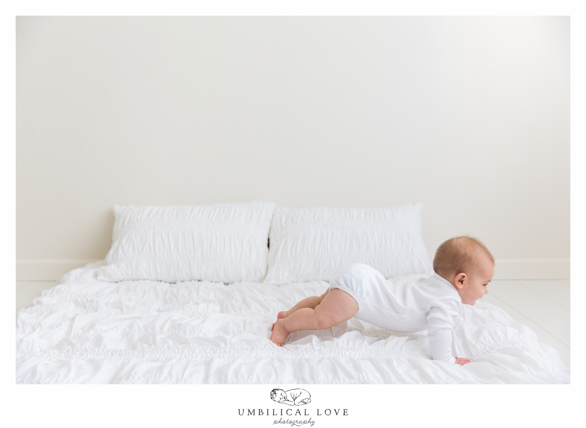 6-12 Months Baby Photos and Video Albury Wodonga
