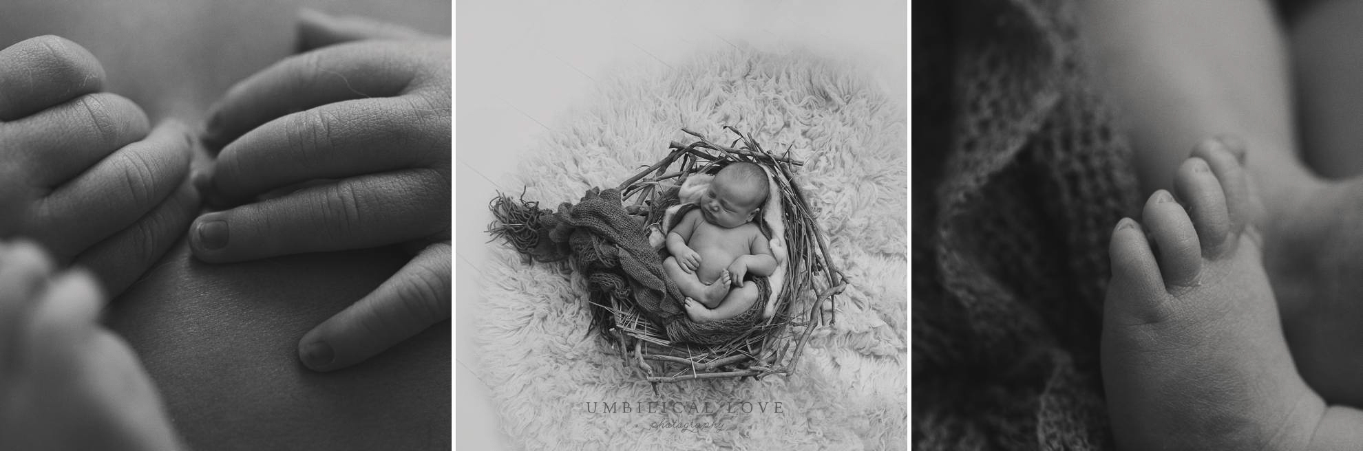 Lavington Baby Photos / Newborn Luke